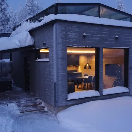 Lapland Luxury Igloos B * レヴィ