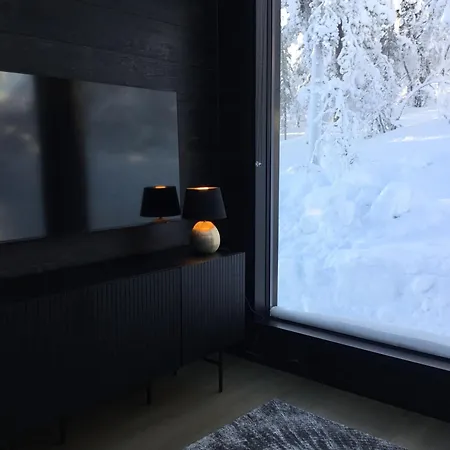 Villa Lapland Luxury Igloos B Levi