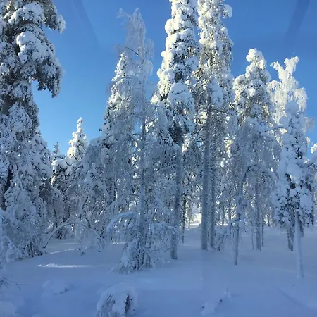 Lapland Luxury Igloos B レヴィ