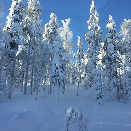 Lapland Luxury Igloos B Villa