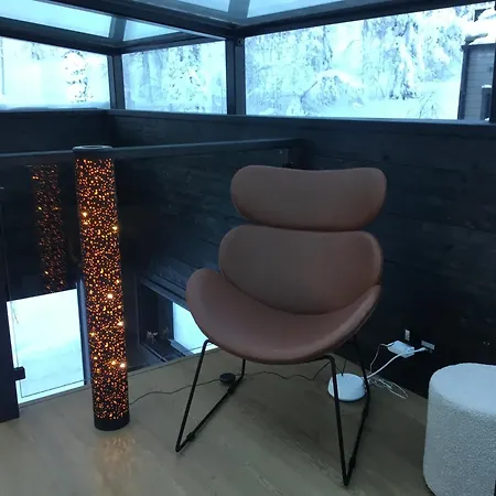 Lapland Luxury Igloos B レヴィ