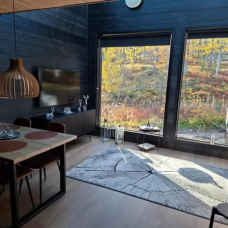 Villa Lapland Luxury Igloos B Levi