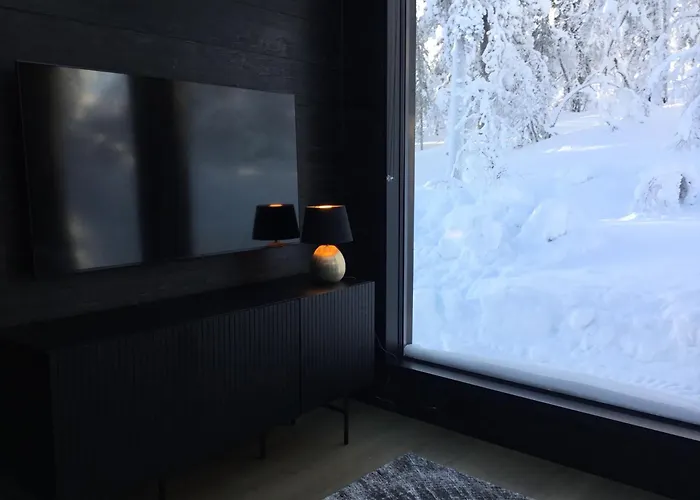 Villa Lapland Luxury Igloos B Levi