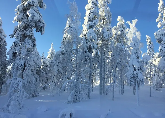 Lapland Luxury Igloos B Levi