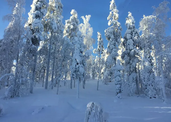 Lapland Luxury Igloos B Villa